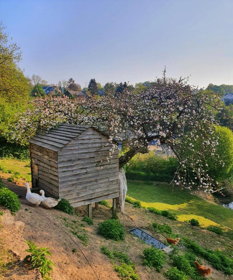 La Maison Du Sabotier Custinne Εξωτερικό φωτογραφία