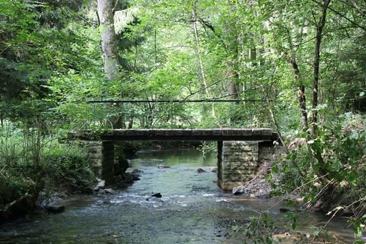 La Maison Du Sabotier Custinne Εξωτερικό φωτογραφία