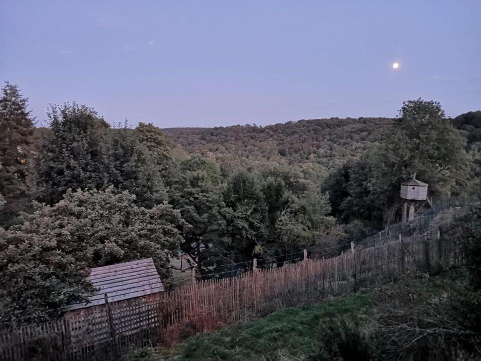 La Maison Du Sabotier Custinne Εξωτερικό φωτογραφία